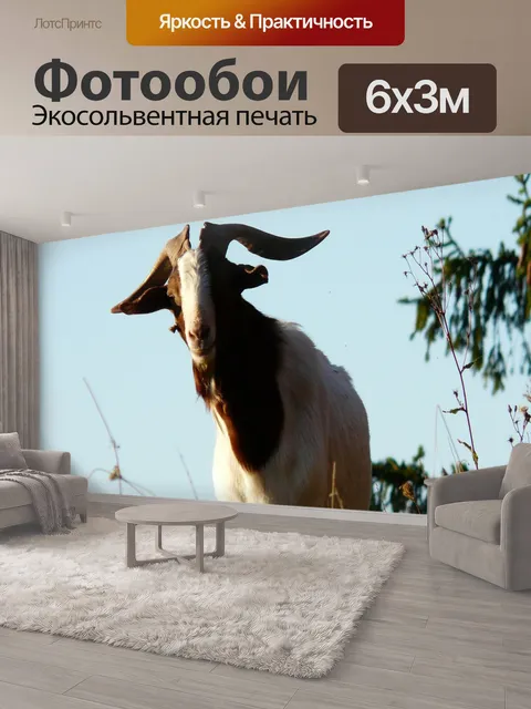 600 × 300 см · Экосольвентная печать