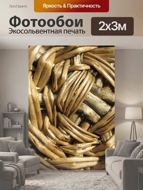200 × 300 см · Экосольвентная печать