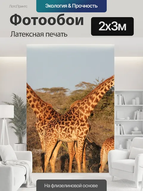 200 × 300 см · Латексная печать