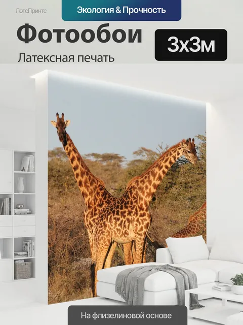 300 × 300 см · Латексная печать
