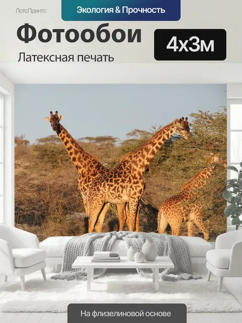 400 × 300 см · Латексная печать