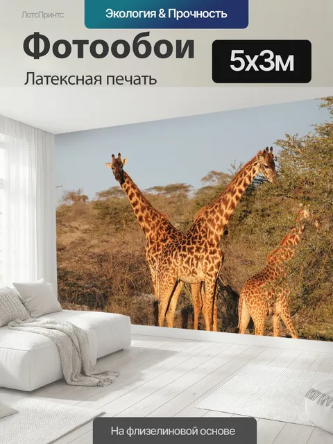 500 × 300 см · Латексная печать