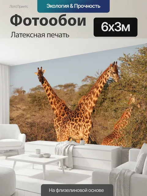 600 × 300 см · Латексная печать