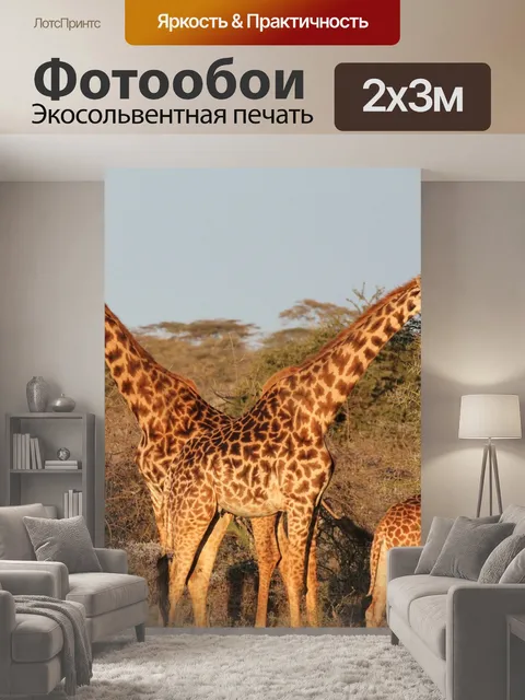 200 × 300 см · Экосольвентная печать