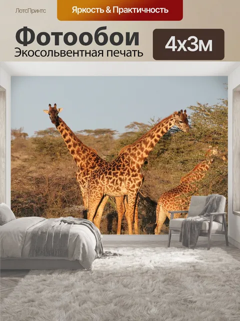 400 × 300 см · Экосольвентная печать