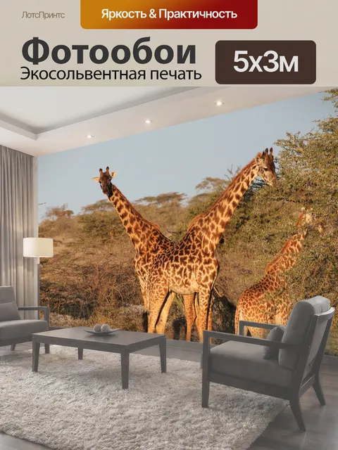500 × 300 см · Экосольвентная печать