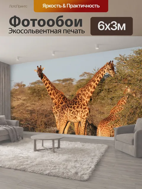 600 × 300 см · Экосольвентная печать