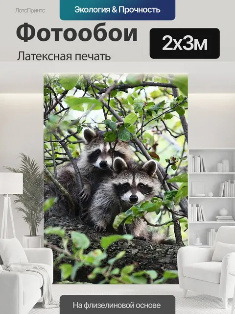 200 × 300 см · Латексная печать
