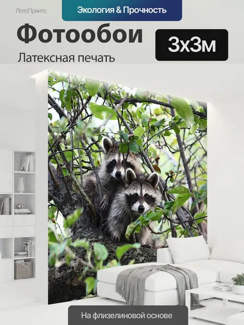 300 × 300 см · Латексная печать