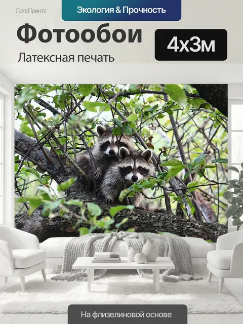 400 × 300 см · Латексная печать