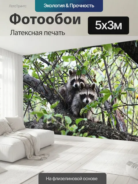 500 × 300 см · Латексная печать