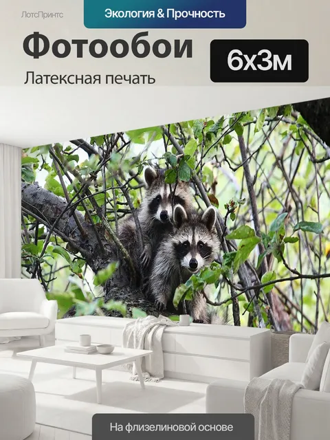 600 × 300 см · Латексная печать