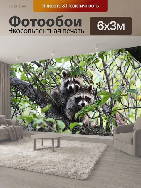 600 × 300 см · Экосольвентная печать