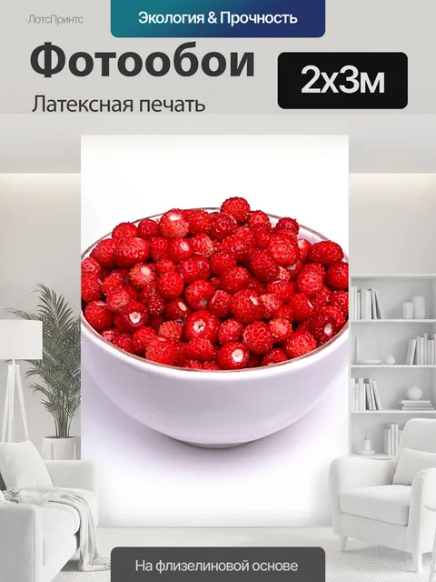 200 × 300 см · Латексная печать