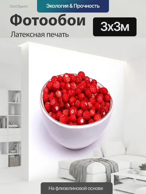 300 × 300 см · Латексная печать