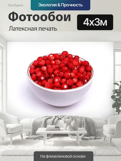 400 × 300 см · Латексная печать
