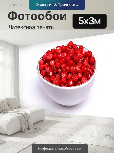 500 × 300 см · Латексная печать