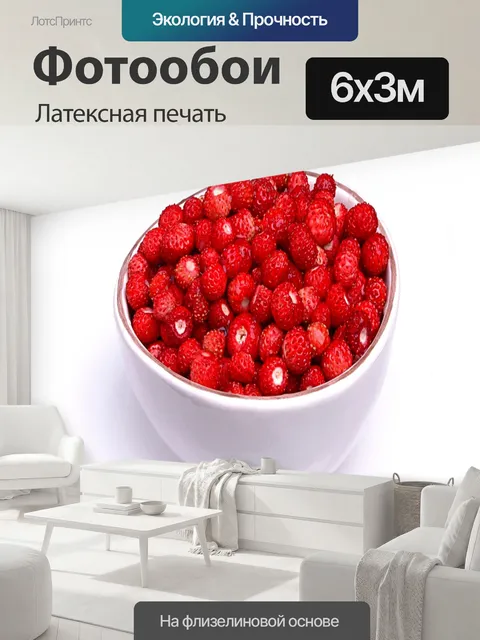 600 × 300 см · Латексная печать