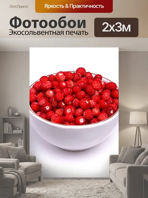 200 × 300 см · Экосольвентная печать