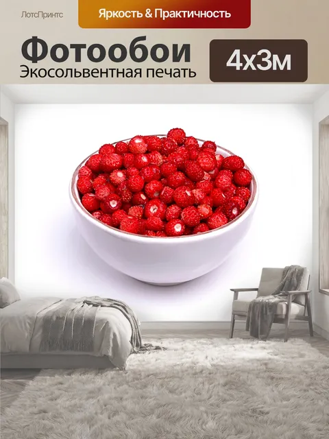 400 × 300 см · Экосольвентная печать