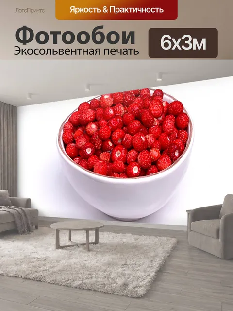 600 × 300 см · Экосольвентная печать