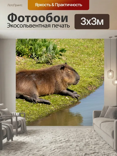 Фотообои Капибара, грызун, карпинчос