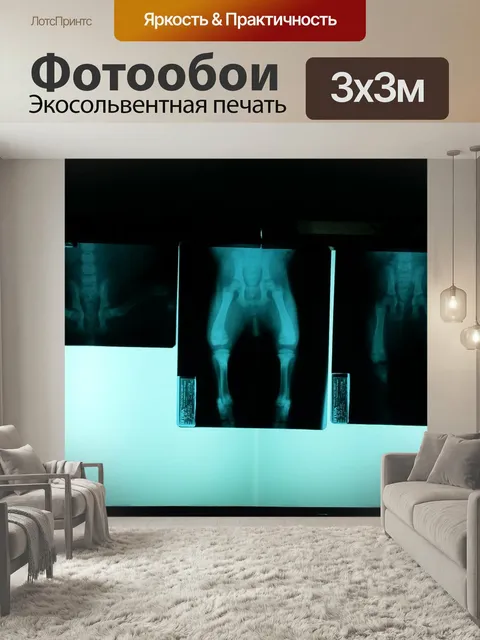 Фотообои Рентгенография, ветеринарный, таз
