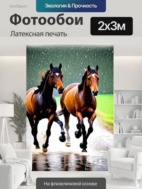 200 × 300 см · Латексная печать