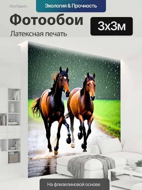 300 × 300 см · Латексная печать