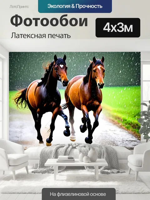 400 × 300 см · Латексная печать