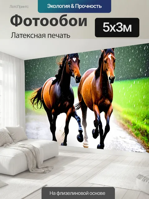 500 × 300 см · Латексная печать