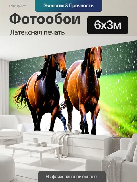 600 × 300 см · Латексная печать