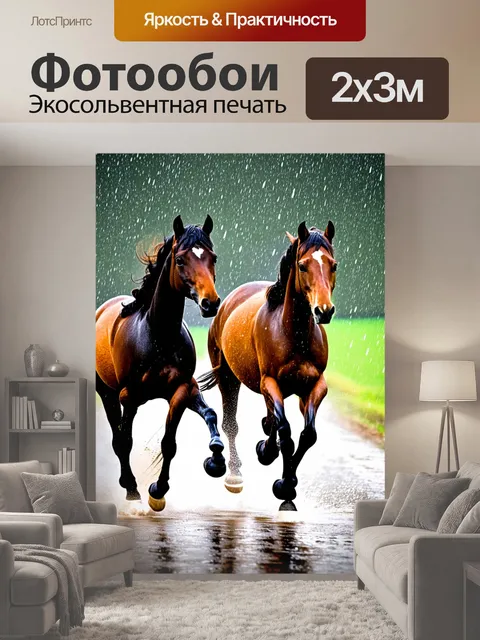 200 × 300 см · Экосольвентная печать