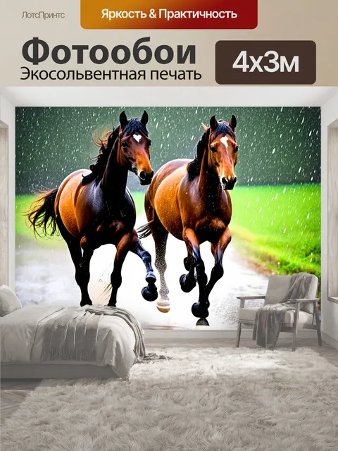 400 × 300 см · Экосольвентная печать