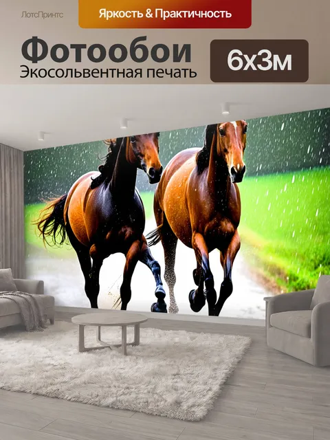 600 × 300 см · Экосольвентная печать