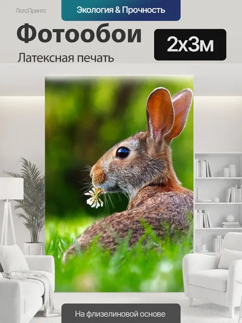 200 × 300 см · Латексная печать