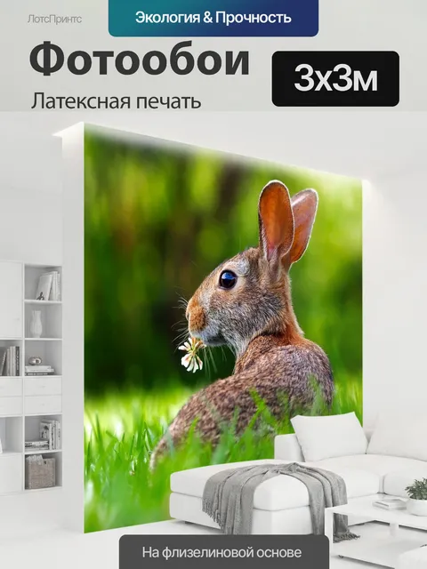 300 × 300 см · Латексная печать
