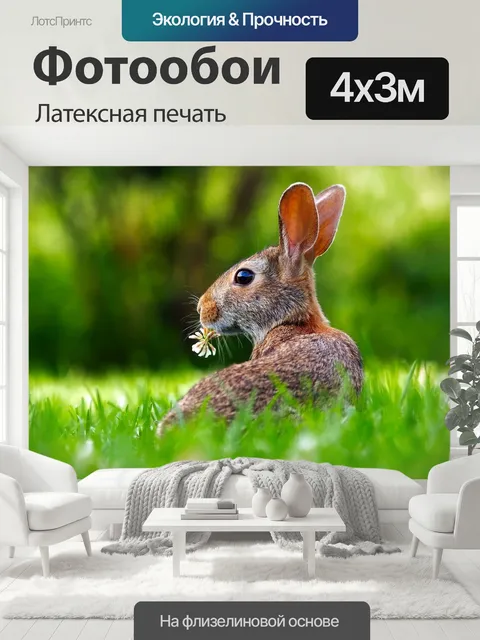 400 × 300 см · Латексная печать