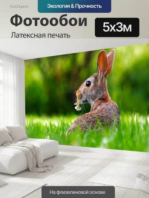 500 × 300 см · Латексная печать