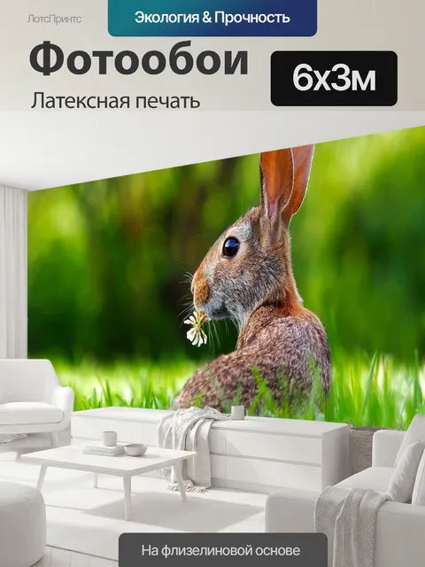 600 × 300 см · Латексная печать