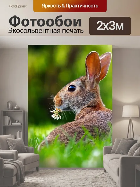 200 × 300 см · Экосольвентная печать