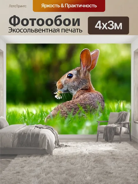 400 × 300 см · Экосольвентная печать