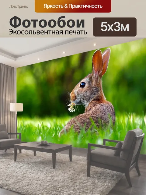 500 × 300 см · Экосольвентная печать