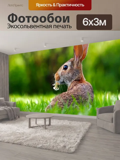 600 × 300 см · Экосольвентная печать
