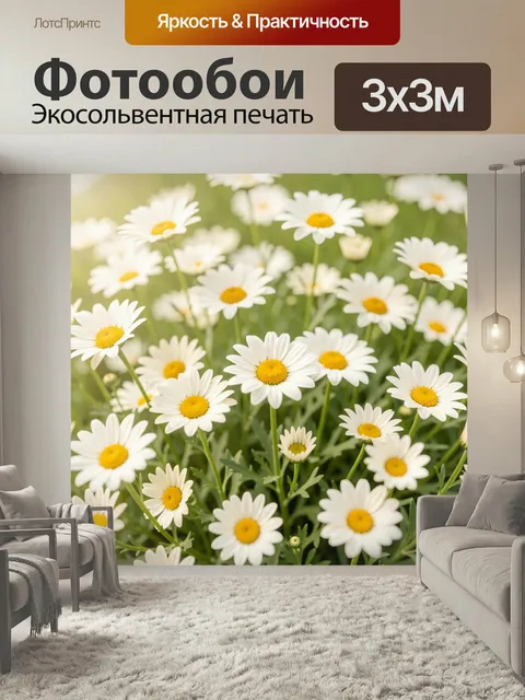 Фотообои Белые ромашки на зеленом фоне