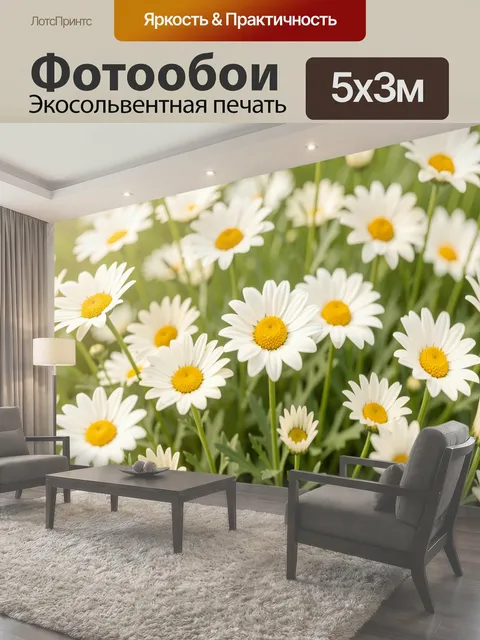Фотообои Белые ромашки на зеленом фоне