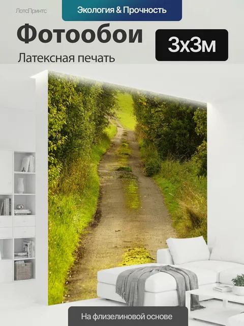 300 × 300 см · Латексная печать