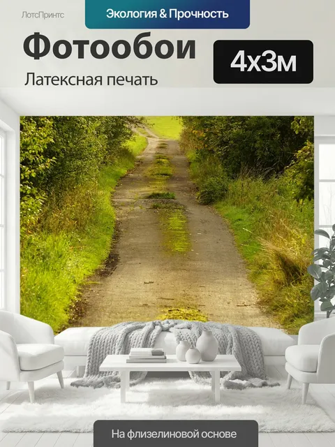 400 × 300 см · Латексная печать