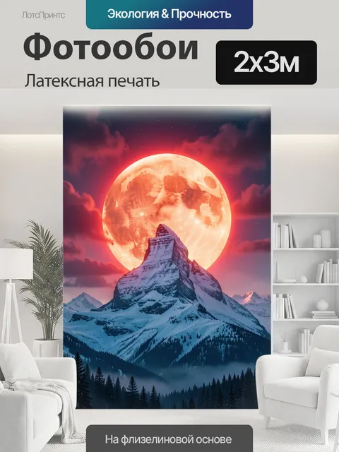 200 × 300 см · Латексная печать