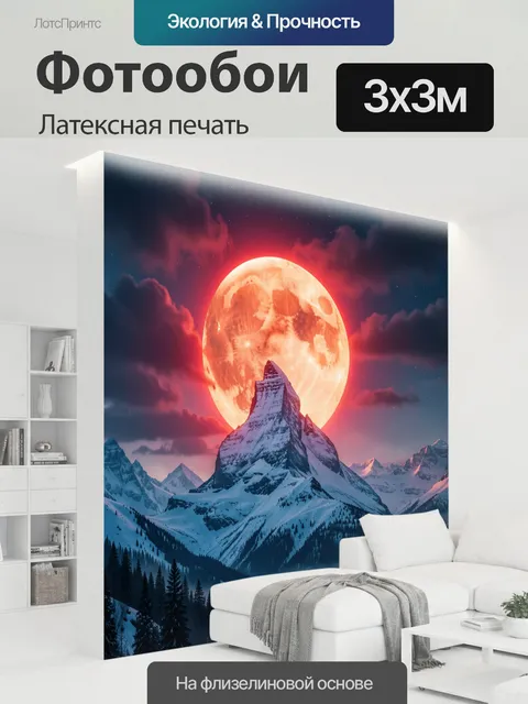 300 × 300 см · Латексная печать